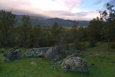 dere, nehir, çevre, doğa, çağlayan, sahne, orman, su, manzara, manzara, sonbahar, sonbahar, manzara, akış, park, yeşillik, manzara, ağaç,