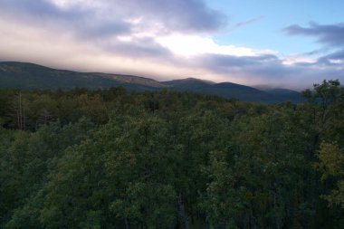 dere, nehir, çevre, doğa, çağlayan, sahne, orman, su, manzara, manzara, sonbahar, sonbahar, manzara, akış, park, yeşillik, manzara, ağaç,