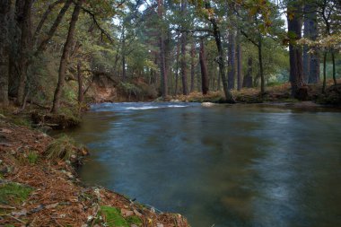 dere, nehir, çevre, doğa, çağlayan, sahne, orman, su, manzara, manzara, sonbahar, sonbahar, manzara, akış, park, yeşillik, manzara, ağaç,