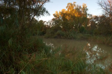 su, nehir, göller, ağaçlar, doğa, manzara, sonbahar, gökyüzü, mavi, pınarlar, gölet, park, mevsim, yeşil, beuty, manzara, sükunet, ahşap, sonbahar