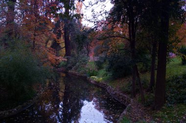 Sonbahar, sonbahar, çevre, nehir, park, doğa, manzara, manzara, manzara, manzara, ağaç, yeşil, güzel, açık hava, mevsim, sarı, mantar,