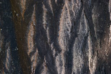 Desen, yüzey, eski doğa, makro, doğal, doku, eskimiş, eskimiş, ahşap, soyut, ağaç, ahşap, gövde, arka plan, kahverengi, kabuk, yakın plan, ahşap, yaşlanma, çam, deri, kaba,, 