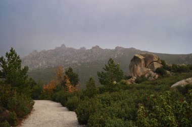Yol dağları manzarası doğa manzarası açık hava ağacı sonbahar yeşili doğal manzara bitkisi
