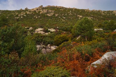 Dağlar doğa manzarası ağaçlar kayalar Navacerrada Madde Taşları sonbahar doğa