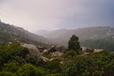 Dağlar doğa manzarası ağaçlar kayalar Navacerrada Madde Taşları sonbahar doğa