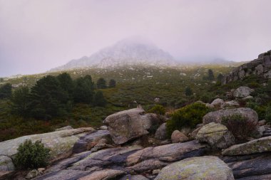 Dağlar doğa manzarası ağaçlar kayalar Navacerrada Madde Taşları sonbahar doğa