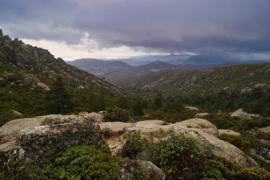 Dağ manzarası doğa manzarası sonbahar yeşili gökyüzü bitki örtüsü