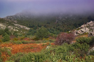 Dağlar doğa manzarası ağaçlar kayalar Navacerrada Madde Taşları sonbahar doğa