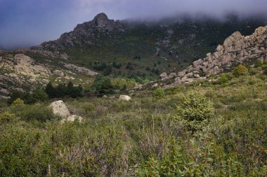 Dağlar doğa manzarası ağaçlar kayalar Navacerrada Madde Taşları sonbahar doğa