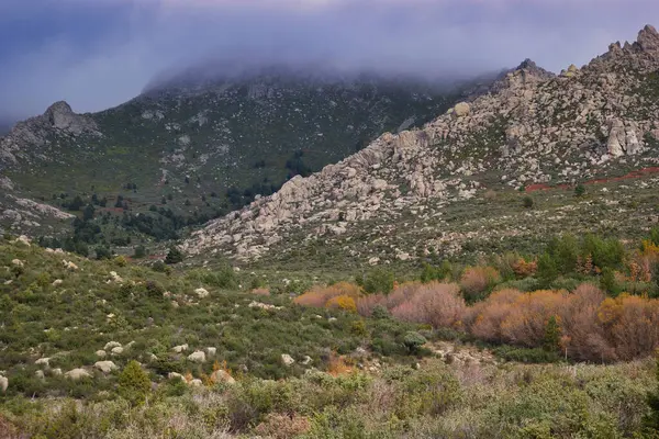 Dağlar doğa manzarası ağaçlar kayalar Navacerrada Madde Taşları sonbahar doğa