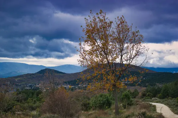 Dağlar doğa manzarası ağaçlar kayalar Navacerrada Madde Taşları sonbahar doğa