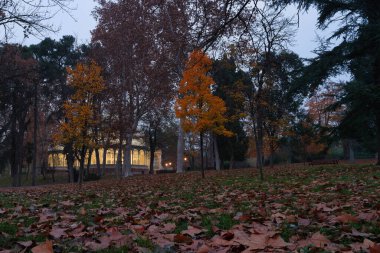 Madrid 'deki Buen Retiro Parkı' ndaki Palacio Kristali. Nehir havuzu, doğa, sonbahar cam mimarisi.