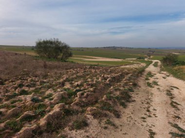 Toprak bir yolun kenarında, bulutlu bir günde İspanya 'nın yeşil arazisi.