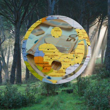 Çim ağaçları ve avro banknotlarından oluşan bir orman manzarasının arka planında yin-yang işareti