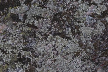 Taş kaya yapısı arka plan olarak güzel desen