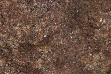 Taş kaya yapısı arka plan olarak güzel desen