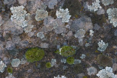 Taş kaya yapısı arka plan olarak güzel desen