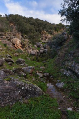 Baharda San Juan 'da, Madrid yakınlarındaki Pelayos de la Presa yakınlarında bir dağ manzarası.