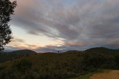 Baharda San Juan 'da, Madrid yakınlarındaki Pelayos de la Presa yakınlarında bir dağ manzarası.