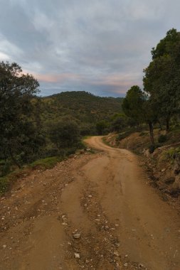 Baharda San Juan 'da, Madrid yakınlarındaki Pelayos de la Presa yakınlarında bir dağ manzarası.