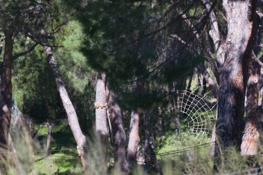 Madrid yakınlarındaki Pelayos de la Presa şehrinde, İspanya 'daki lunapark engelli parkı.