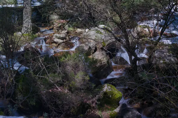 Madrid, İspanya yakınlarındaki Sierra de Guadarrama dağlarında kış manzarası