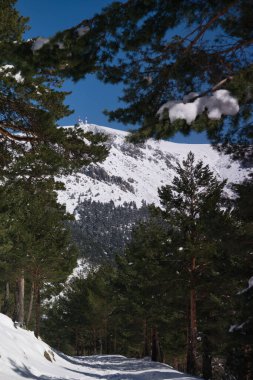 Madrid, İspanya yakınlarındaki Sierra de Guadarrama dağlarında kış manzarası