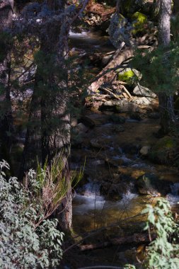 Madrid, İspanya yakınlarındaki Sierra de Guadarrama dağlarında kış manzarası