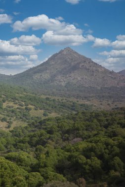 Baharda Madrid yakınlarındaki İspanyol Sierra de Guadarrama dağlarında doğa manzarası