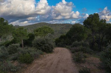 Baharda Madrid yakınlarındaki İspanyol Sierra de Guadarrama dağlarında doğa manzarası