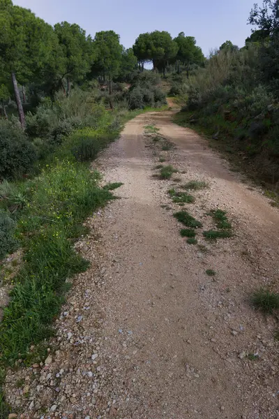 Baharda Madrid yakınlarındaki İspanyol Sierra de Guadarrama dağlarında doğa manzarası