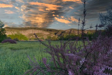 İspanya, Madrid yakınlarındaki Vaciamadrid kasabasında bahar manzarası