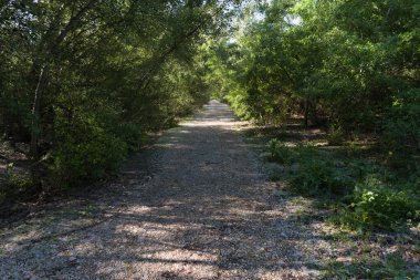 İspanya, Madrid yakınlarındaki Vaciamadrid kasabasında bahar manzarası