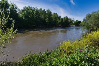 İspanya, Madrid yakınlarındaki Vaciamadrid kasabasında bahar manzarası