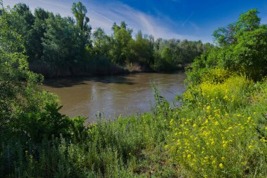 İspanya, Madrid yakınlarındaki Vaciamadrid kasabasında bahar manzarası