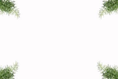 çiçekli arkaplan izole resimleme deseni