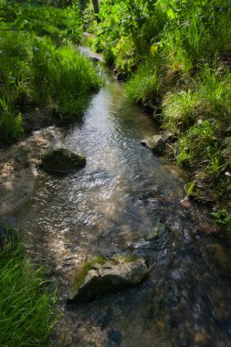 Baharda Madrid yakınlarındaki Campo şehir parkındaki manzara manzarası
