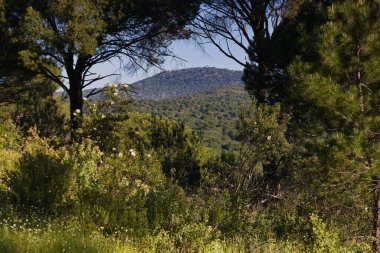 Baharda dağ manzarası güneşli bir günde Madrid yakınlarında.