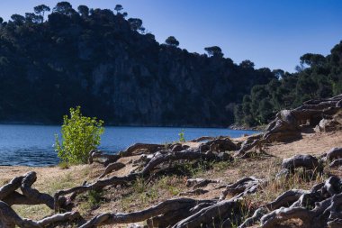 Güneşli bir günde Madrid yakınlarında İspanya 'da bir dağ gölü baharı manzarası