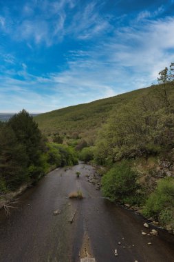 Sierra de Guadarrama dağlarındaki baharda bir dağ deresinin manzarası
