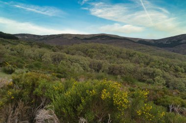 ...İspanya 'daki Sierra de Guadarrama Dağları' nda ilkbahar manzarası