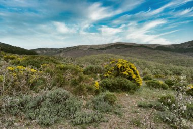 ...İspanya 'daki Sierra de Guadarrama Dağları' nda ilkbahar manzarası