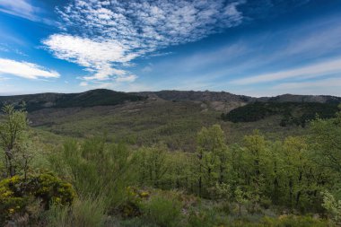 ...İspanya 'daki Sierra de Guadarrama Dağları' nda ilkbahar manzarası