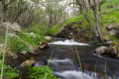 Sierra de Guadarrama dağlarındaki baharda bir dağ deresinin manzarası