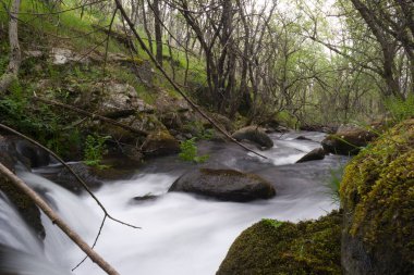 Sierra de Guadarrama dağlarındaki baharda bir dağ deresinin manzarası