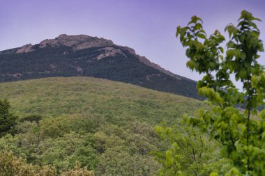 ...İspanya 'daki Sierra de Guadarrama Dağları' nda ilkbahar manzarası