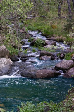Sierra de Guadarrama dağlarındaki baharda bir dağ deresinin manzarası