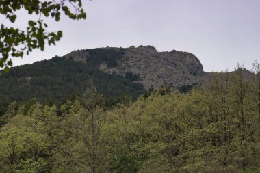 ...İspanya 'daki Sierra de Guadarrama Dağları' nda ilkbahar manzarası