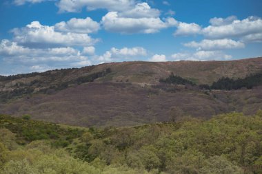 ...İspanya 'daki Sierra de Guadarrama Dağları' nda ilkbahar manzarası