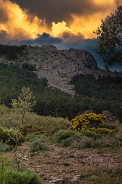 ...İspanya 'daki Sierra de Guadarrama Dağları' nda ilkbahar manzarası